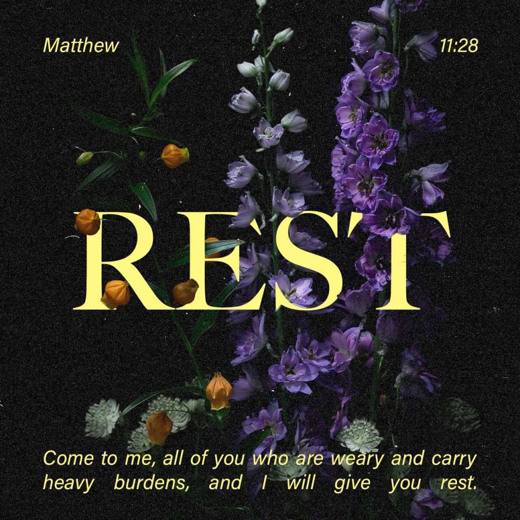 Flowers amid dark background with Matthew 11:28 over them
