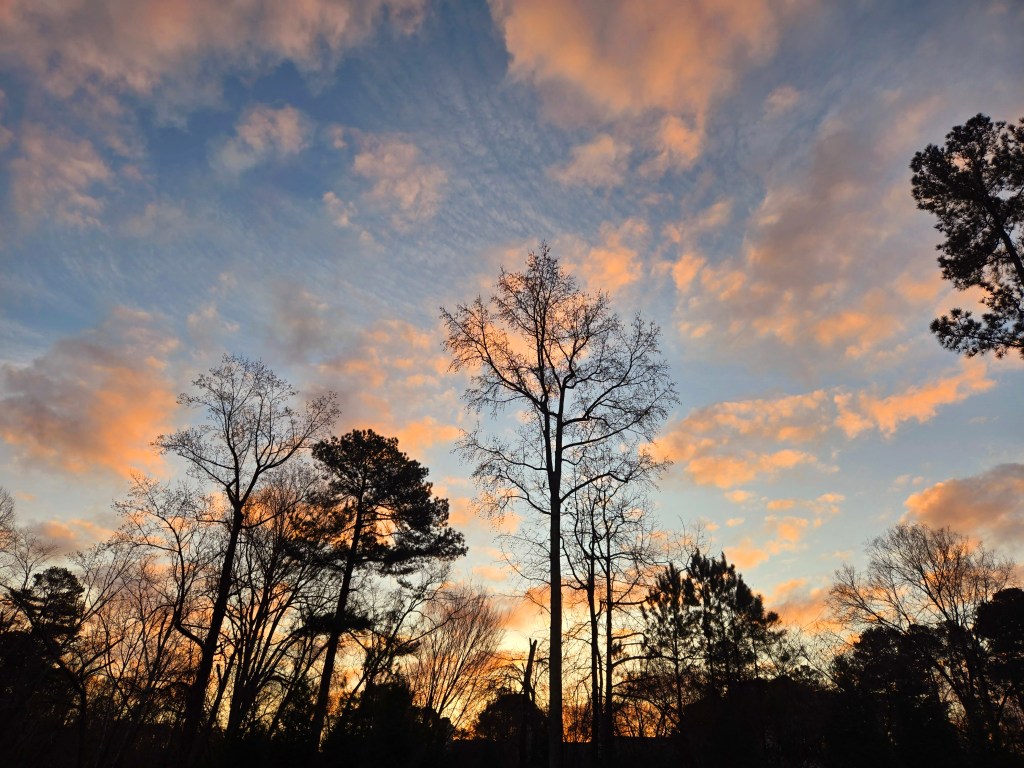 sun rise with light orange clouds amid blue sky