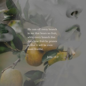 Yielding to the Pruning&nbsp;Process